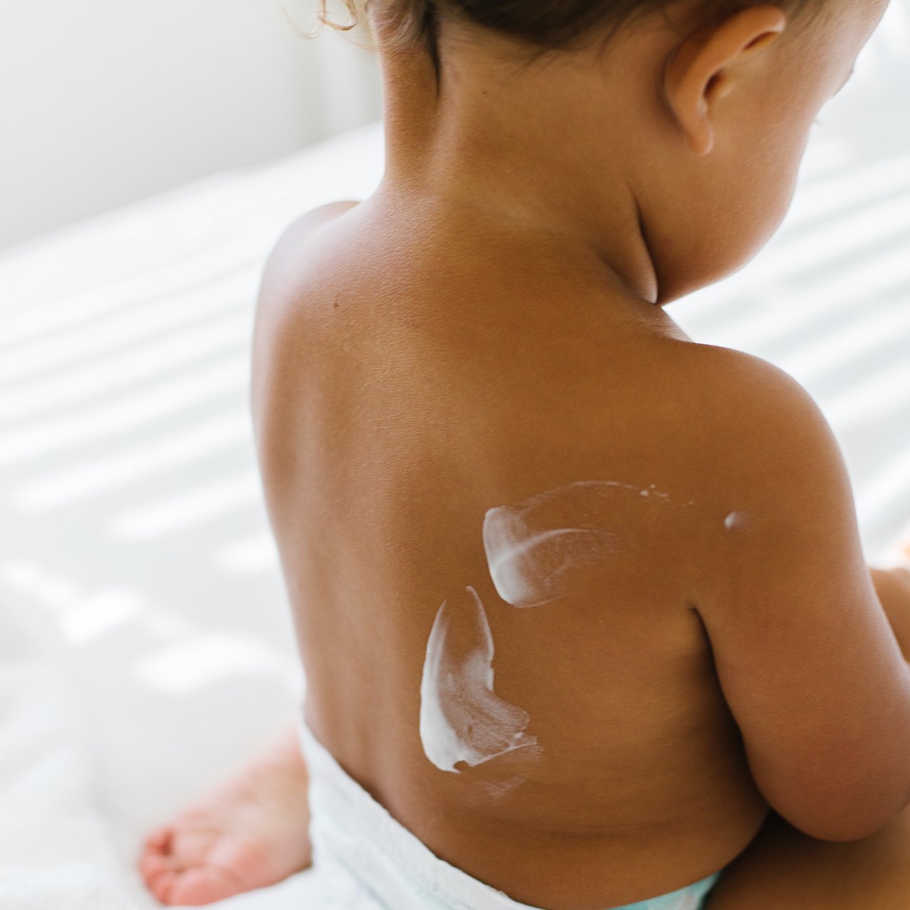 Everyday Lotion